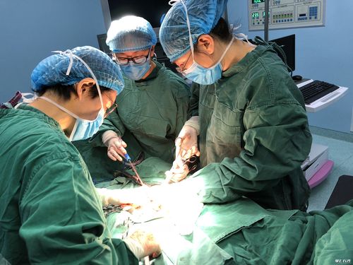 39岁女子患子宫脱垂症 长沙医生成功为其实施高难度手术