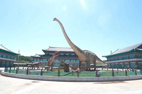 【关注】延吉恐龙博物馆试运营开馆 每天两场免费讲解