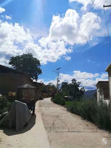 北移象群"转场"了,目前进入峨山县大龙潭乡!