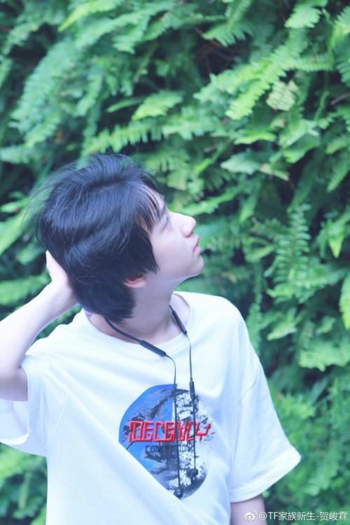 (图片来自tf家族练习生~贺峻霖)
