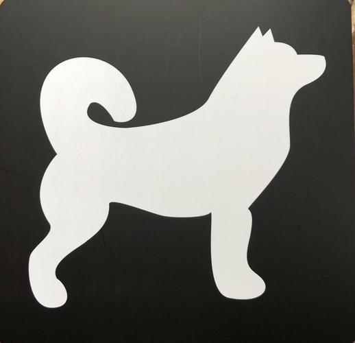 黑白卡追视自编儿歌