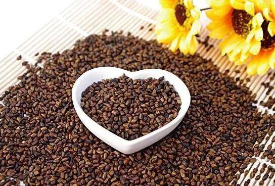 决明子的作用与功效决明子配什么减肥最好