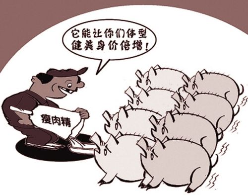 瘦肉精到底是什么