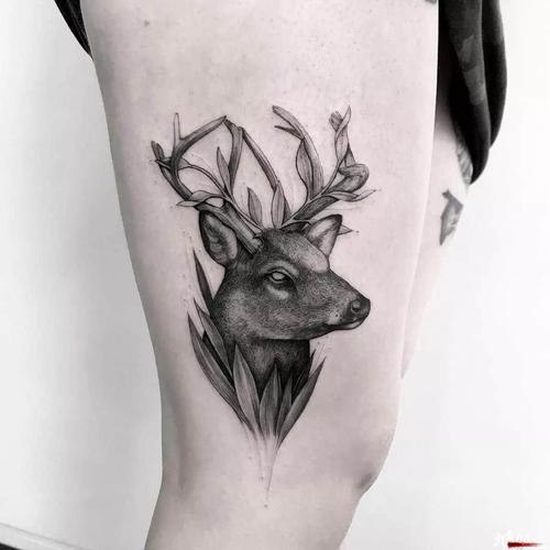 经典黑灰 鹿头 纹身手稿