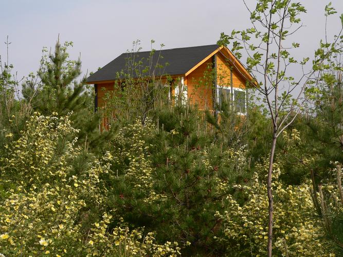 凤凰山圆缘木屋的民宿风采