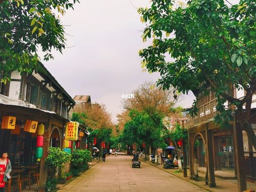 邛崃平乐古镇_蒲江花样年福朋喜来登度假酒店自由行热门攻略_度假酒店