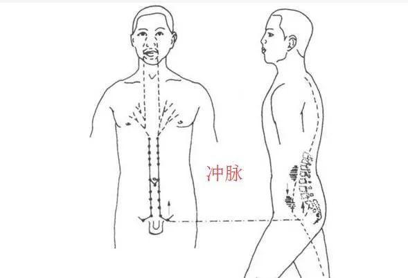 十二正经通于五脏六腑,所以冲脉又能调节五脏六腑的气血.