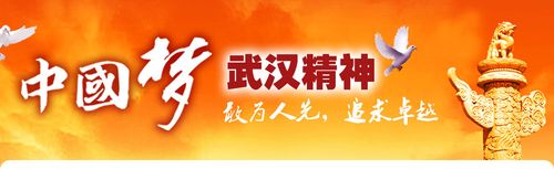 孕育了"敢为人先,追求卓越"的武汉精神