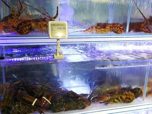 地利渔市(兴隆大奥莱店)-"很高大上的一家店,我是前两天在其他地利生.