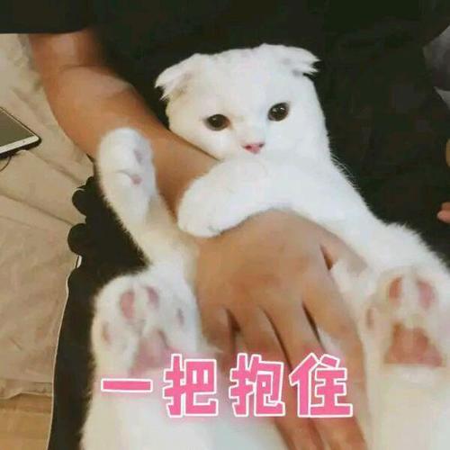 一把抱住