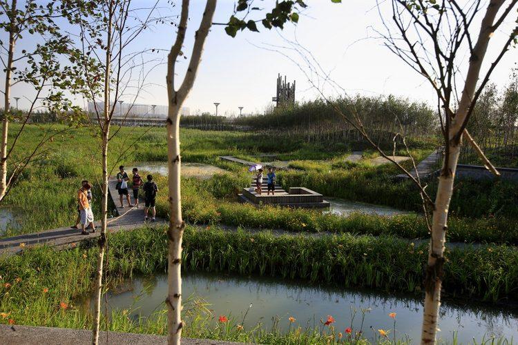哈尔滨市群力新区城市湿地公园(qunli stormwater wetland park)