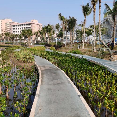 海口市红城湖公园