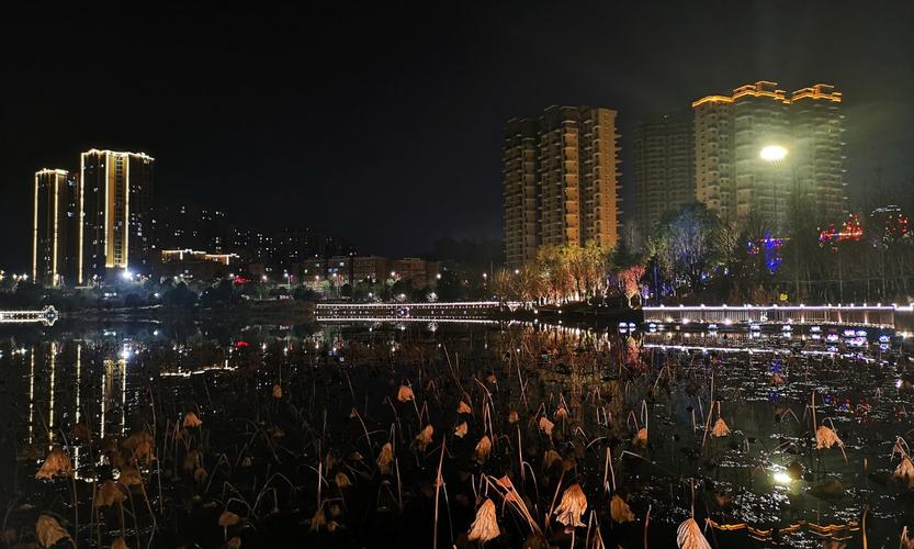 乐至夜景喜气洋,邀您共赏帅乡新貌