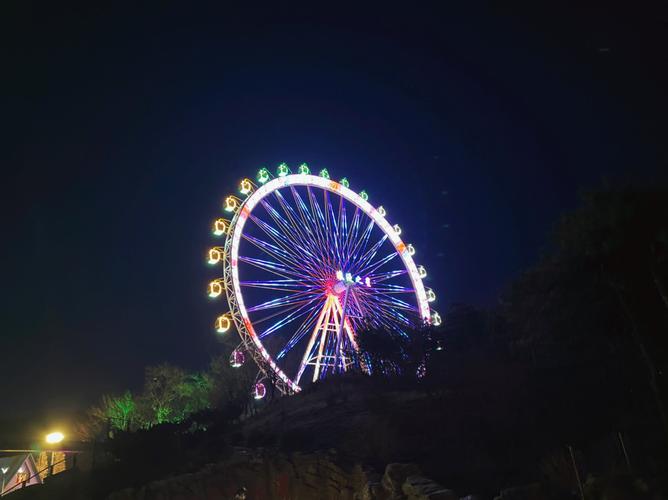 大连森林动物园游乐场摩天轮全天票成人票