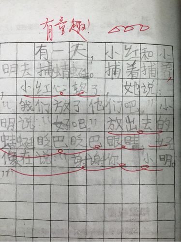 二年级上册看图写话《捕蜻蜓》作品展示