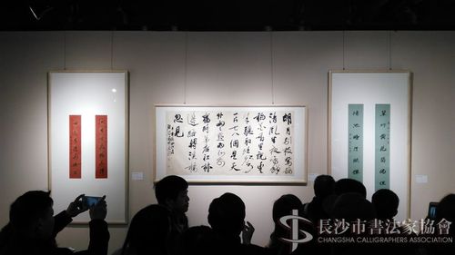 2.28在长沙画院美术馆开幕