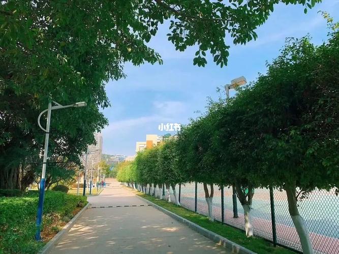 厦门城市职业学院——校园生活_校园生活_厦门城市职业学院_大海_生活