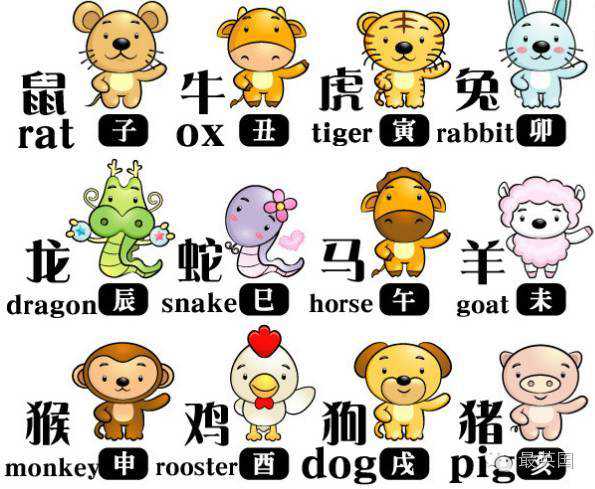 十二生肖英文字母英文手抄报 英文字母手抄报