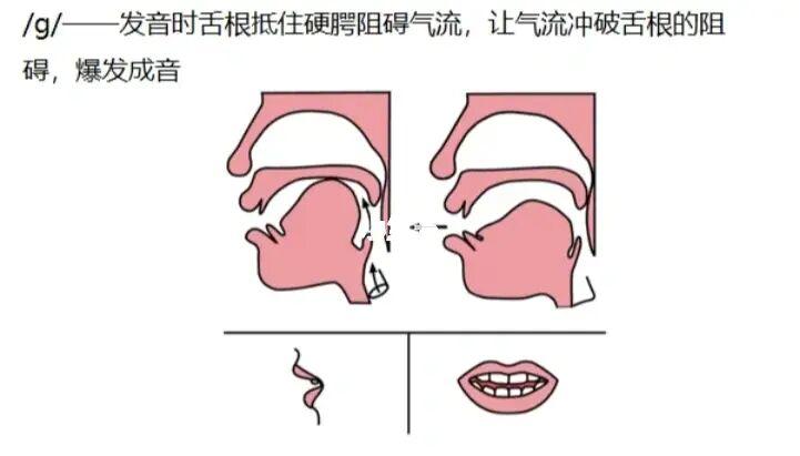 g/k/h发音不清楚?超详细教学看这里_运动_力量训练_母婴_育儿经验