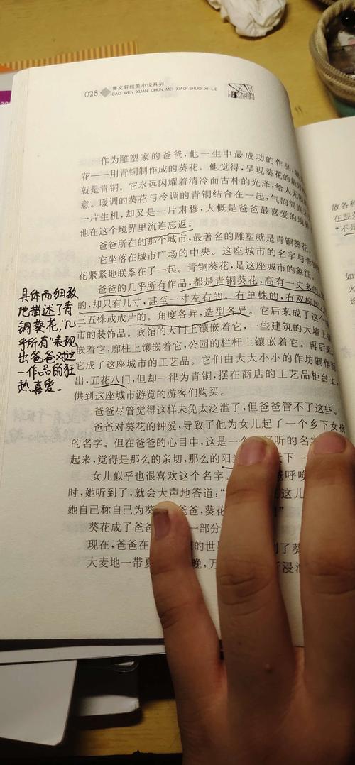 青铜葵花 范容若的批注