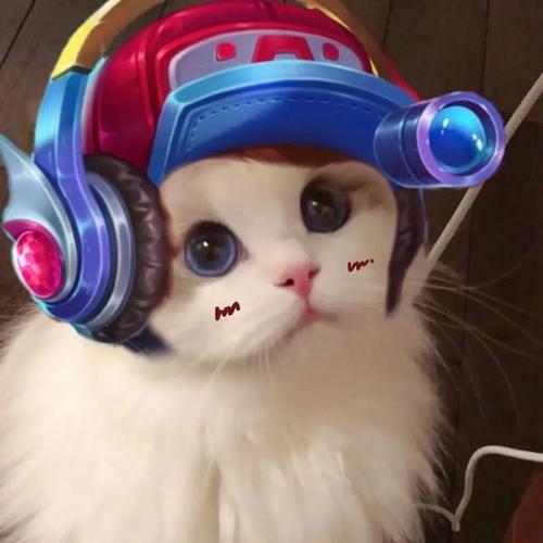 王者荣耀猫咪换头开黑头像