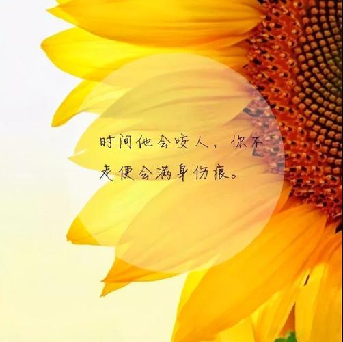 说说心情短语人生感悟对生活有感而发的说说