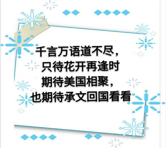 千言万语道不尽,只待花开再逢时.