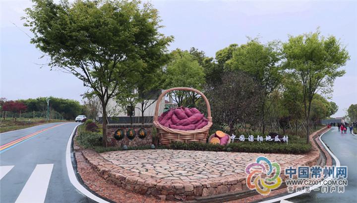 常州溧阳牛马塘村:深挖特色产业,昔日"空心村"迎来"投资热"