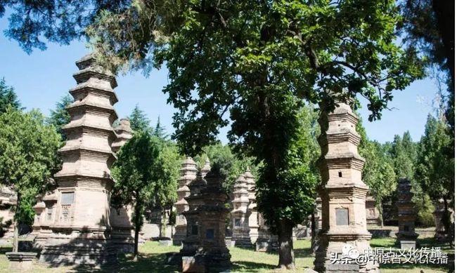 少林寺塔林是历代高僧的圆寂之地是世界上最大的古塔建筑群