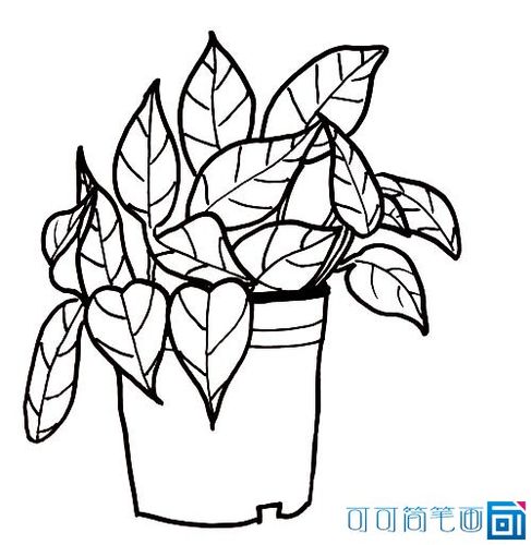 关于绿萝的简笔画高清怎么画,关于绿萝的画法