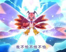 美柯