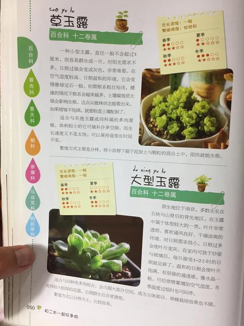 园艺阅读笔记 4:《和二木一起玩多肉》(完结)-2018-8