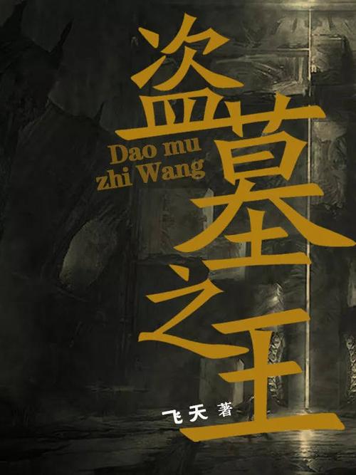 《盗墓之王》