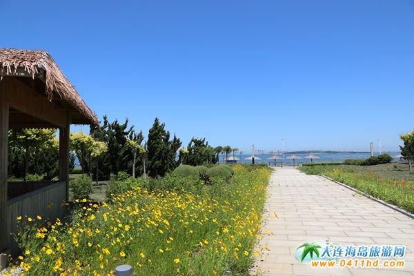 大连长兴岛旅游