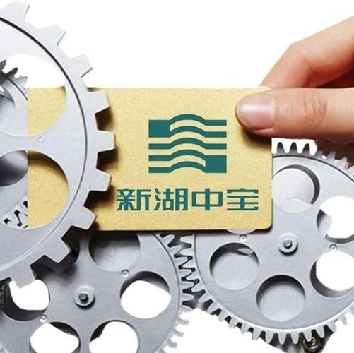 新湖中宝2021:内外兼修 稳中求胜-股票频道-和讯网