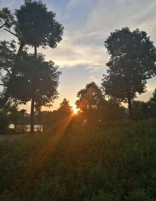 太阳西下的光就向两个射灯照亮西湖的绿地