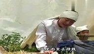 民间小调:孝女《哭灵》,忙了一生,到老也没享着福!