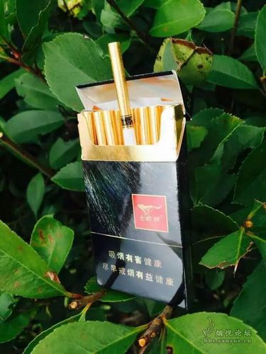 七匹狼【锋芒】 - 香烟品鉴 - 烟悦网论坛