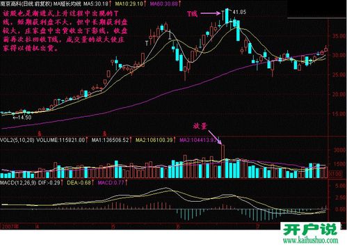 股票新手入门300天图解教程:95.单t线头部