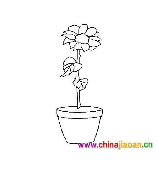 带蛋壳的花盆简笔画