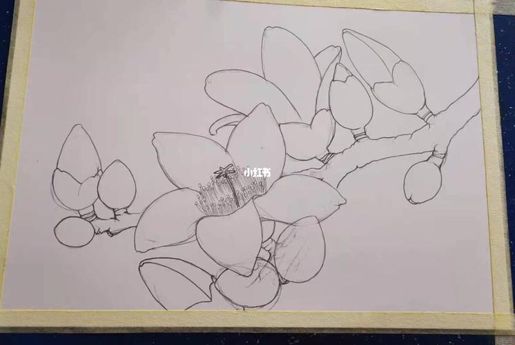 《笔尖记录》木棉花开(彩铅画)_彩铅_绘画_寻找小红书