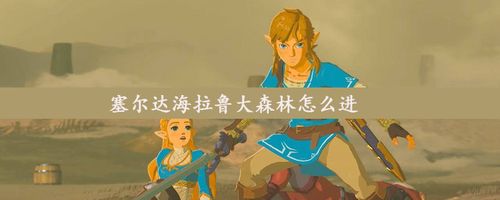 塞尔达海拉鲁大森林怎么进