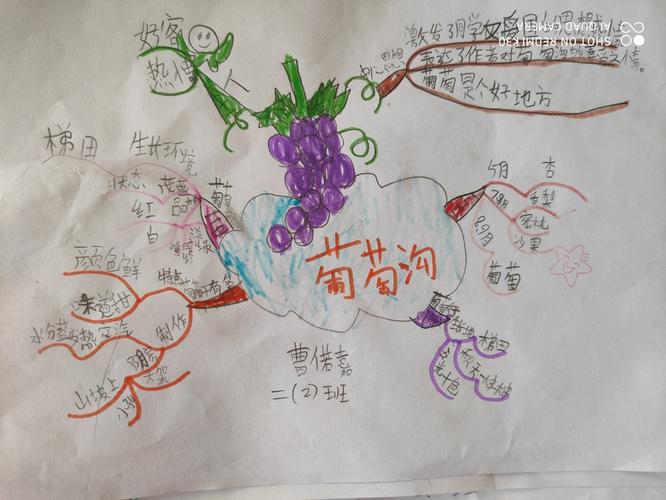 《葡萄沟》思维导图