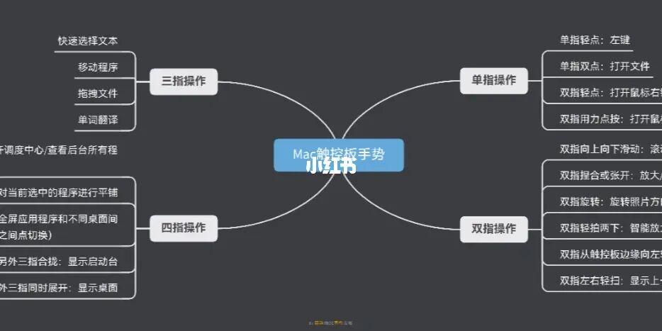 用幕布做思维导图真的太棒了,每天学习一点点,感觉真的很棒
