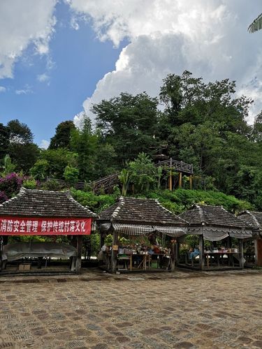 老老小小昆明→澜沧→西盟→孟连→景迈山→西双版纳