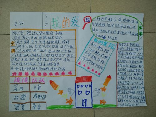 "我的发现"主题手抄报优秀作品展