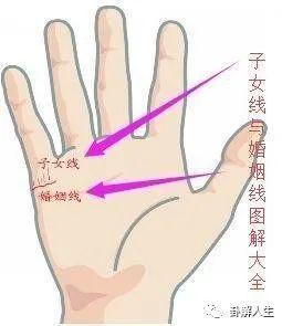 3,子女线起端有岛纹:表示其子女年幼时,体质差,容易生病.