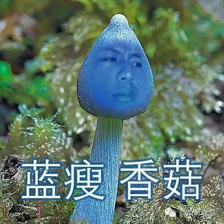 这样吃香菇 "蓝瘦"远离你