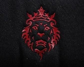 詹姆斯球鞋上的那个狮子头标志谁有的?给我,跪求啊!