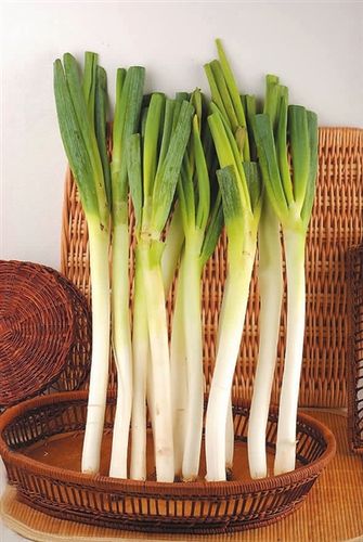 一根大葱功效强大堪比7味中药